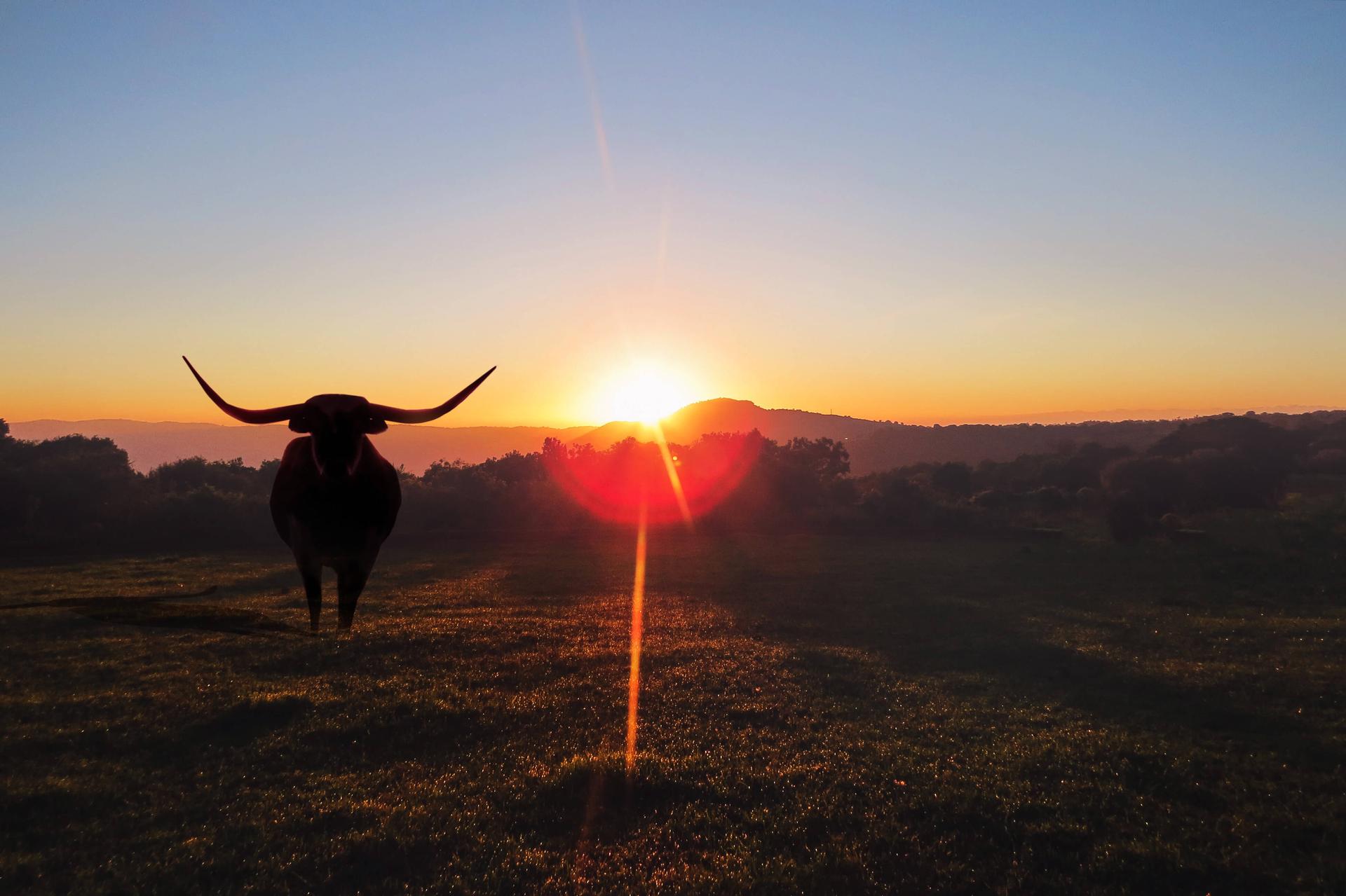What is my ranch worth? Background Image